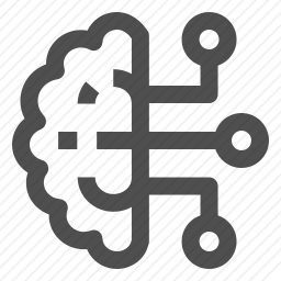 <em>大脑</em>