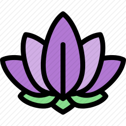 莲花
