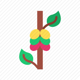 <em>豆</em>