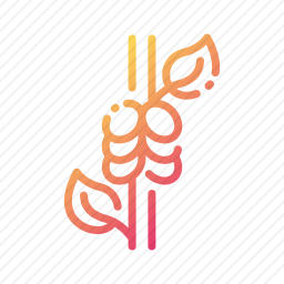 <em>豆</em>