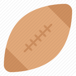 <em>橄榄球</em>