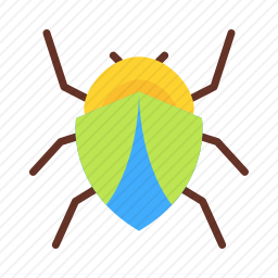 甲虫