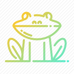 <em>青蛙</em>