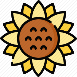 向日葵