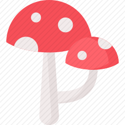 <em>蘑菇</em>