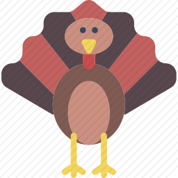 <em>火鸡</em>