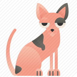 无毛猫
