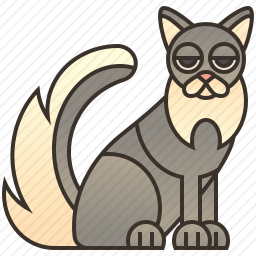 猫