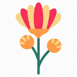 <em>花</em>