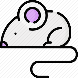 老鼠
