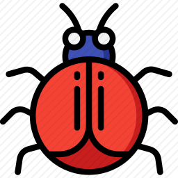 甲虫