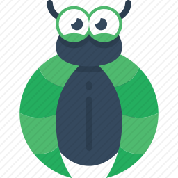 甲虫