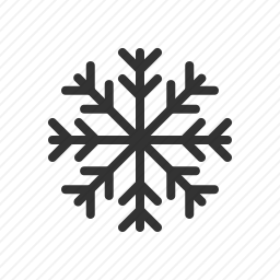 <em>雪花</em>