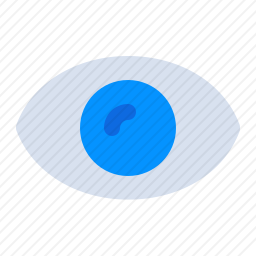 <em>眼睛</em>