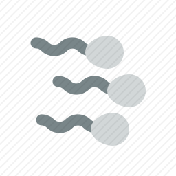 精子