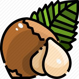 <em>坚果</em>