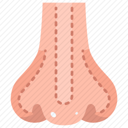 <em>鼻子</em>