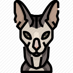 猫