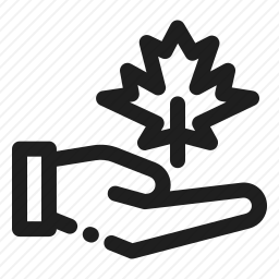 生态学