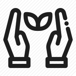 <em>植物</em>