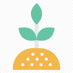 植物