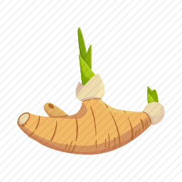生姜