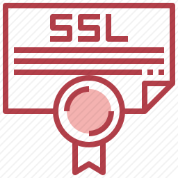 <em>SSL</em>
