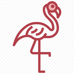 <em>火烈鸟</em>