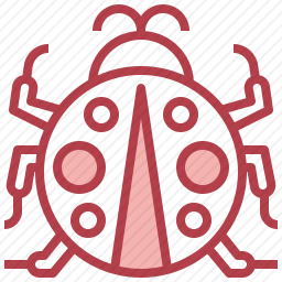 <em>瓢虫</em>