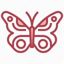 <em>蝴蝶</em>
