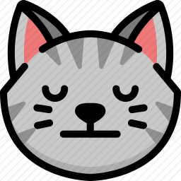 猫咪