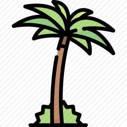 棕榈树