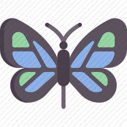 <em>蝴蝶</em>