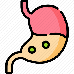 胃