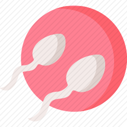 <em>精子</em>