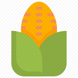 <em>玉米</em>