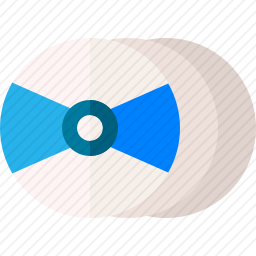 <em>光盘</em>