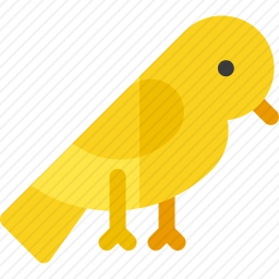 鸟