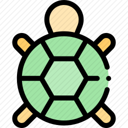 <em>乌龟</em>