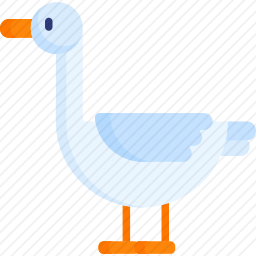 鸭子