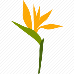 <em>花</em>