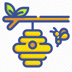 蜂窝