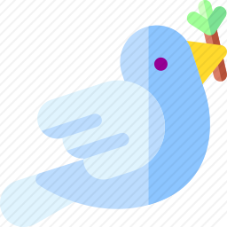 鸽子