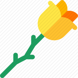 <em>玫瑰</em>