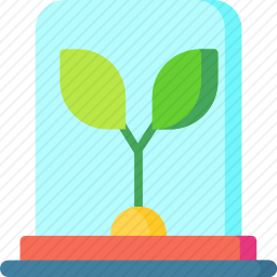 植物