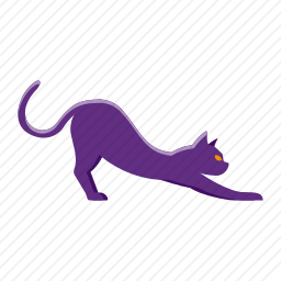 <em>猫</em>