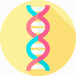 DNA