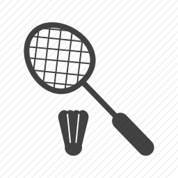 <em>羽毛球</em>