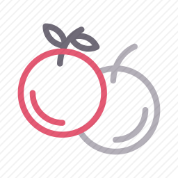 <em>橙子</em>