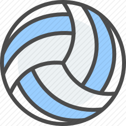 <em>排球</em>